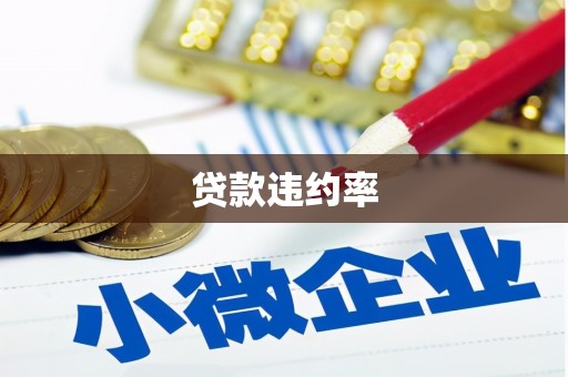 宝兴贷款违约率
