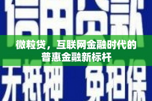 宝兴微粒贷，互联网金融时代的普惠金融新标杆