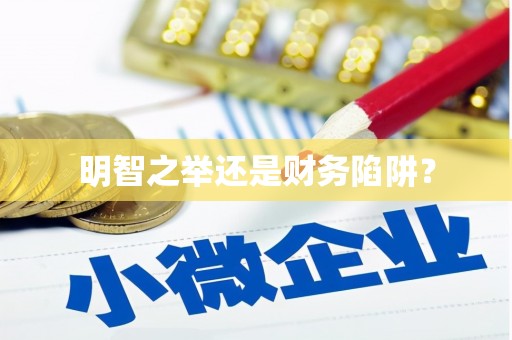 宝兴明智之举还是财务陷阱？
