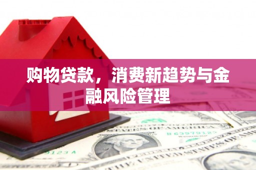 宝兴购物贷款，消费新趋势与金融风险管理