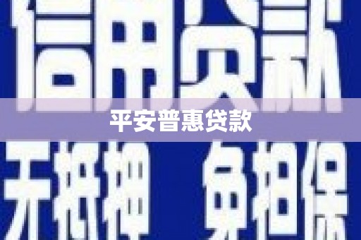 宝兴平安普惠贷款