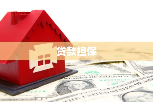 宝兴贷款担保