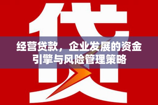 宝兴经营贷款，企业发展的资金引擎与风险管理策略