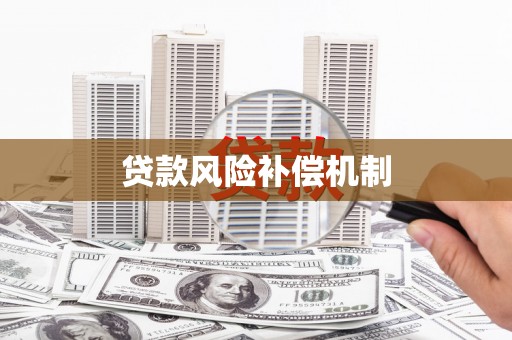 宝兴贷款风险补偿机制