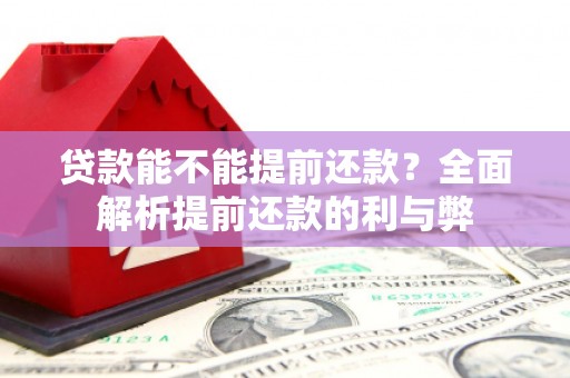宝兴贷款能不能提前还款？全面解析提前还款的利与弊