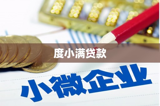 宝兴度小满贷款