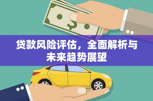 宝兴贷款风险评估，全面解析与未来趋势展望