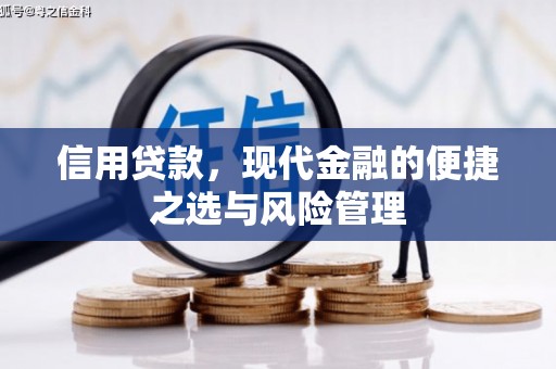 宝兴信用贷款，现代金融的便捷之选与风险管理