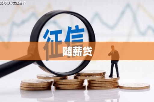 宝兴随薪贷
