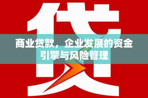 宝兴商业贷款，企业发展的资金引擎与风险管理