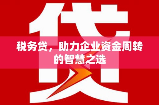 宝兴税务贷，助力企业资金周转的智慧之选