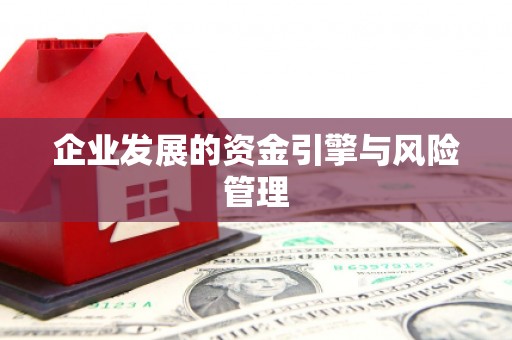 宝兴企业发展的资金引擎与风险管理