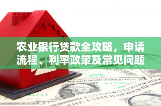 宝兴农业银行贷款全攻略，申请流程、利率政策及常见问题解析
