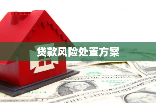 宝兴贷款风险处置方案