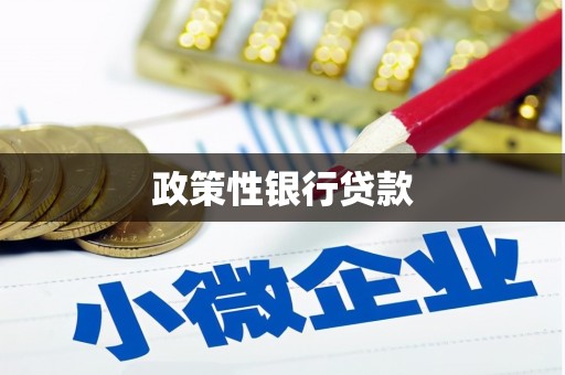宝兴政策性银行贷款
