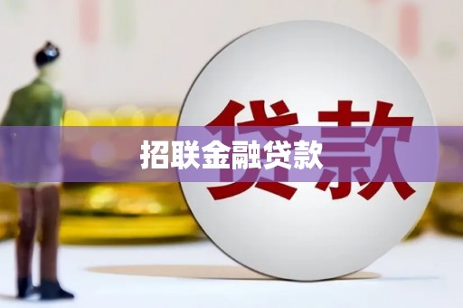 宝兴招联金融贷款