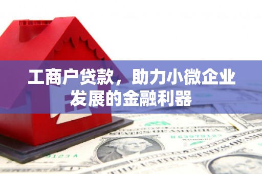 宝兴工商户贷款，助力小微企业发展的金融利器