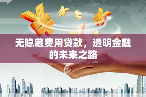 宝兴无隐藏费用贷款，透明金融的未来之路