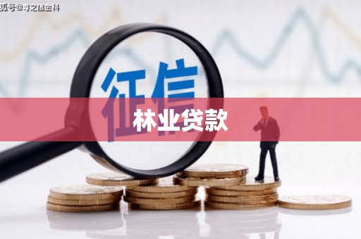 宝兴林业贷款