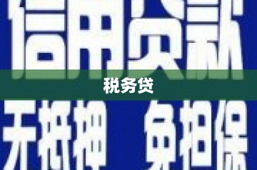 宝兴税务贷