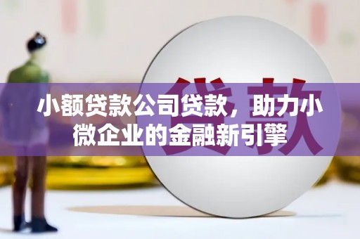 宝兴小额贷款公司贷款，助力小微企业的金融新引擎