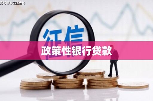 宝兴政策性银行贷款