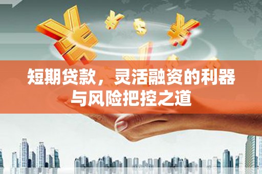 宝兴短期贷款，灵活融资的利器与风险把控之道