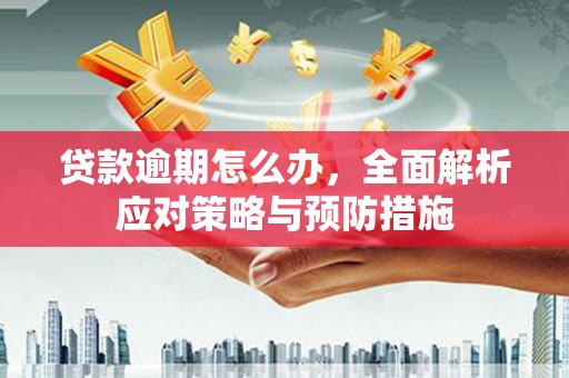 宝兴贷款逾期怎么办，全面解析应对策略与预防措施