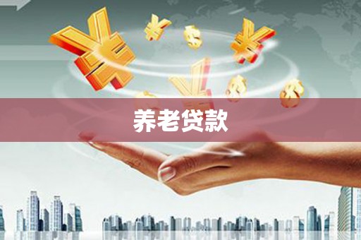 宝兴养老贷款