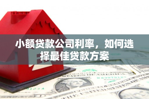 宝兴小额贷款公司利率，如何选择最佳贷款方案