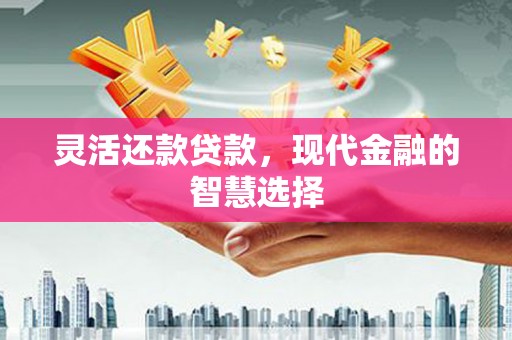 宝兴灵活还款贷款，现代金融的智慧选择