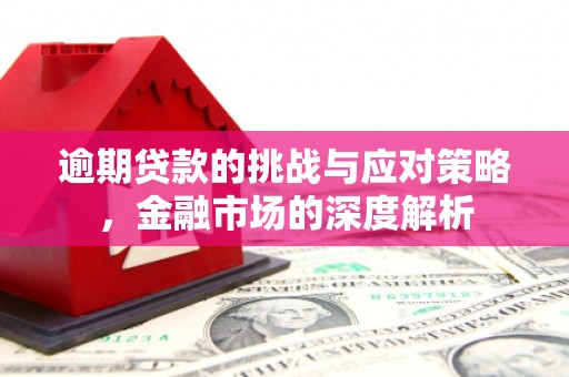 宝兴逾期贷款的挑战与应对策略，金融市场的深度解析