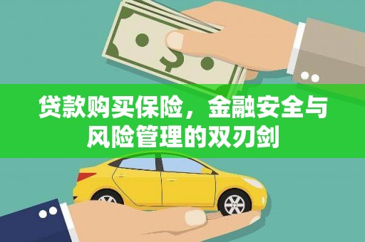宝兴贷款购买保险，金融安全与风险管理的双刃剑