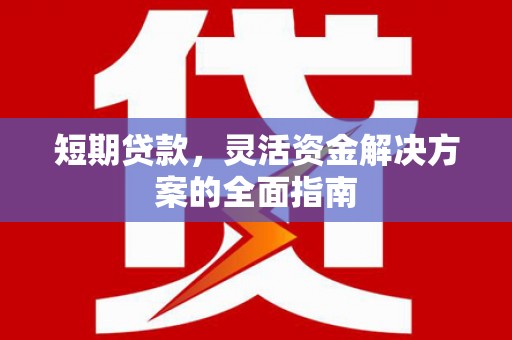 宝兴短期贷款，灵活资金解决方案的全面指南