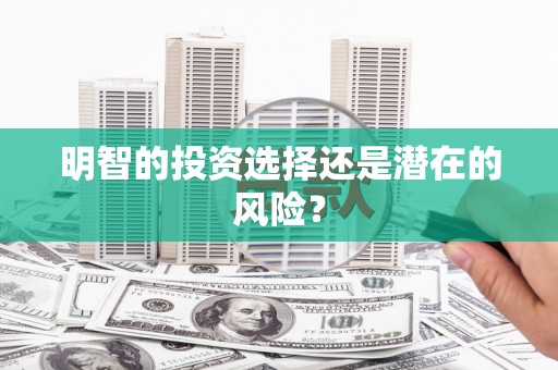 宝兴明智的投资选择还是潜在的风险？