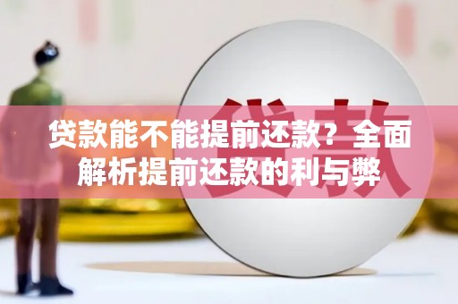 宝兴贷款能不能提前还款？全面解析提前还款的利与弊