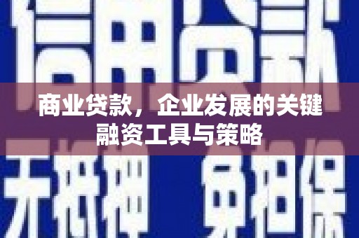 宝兴商业贷款，企业发展的关键融资工具与策略