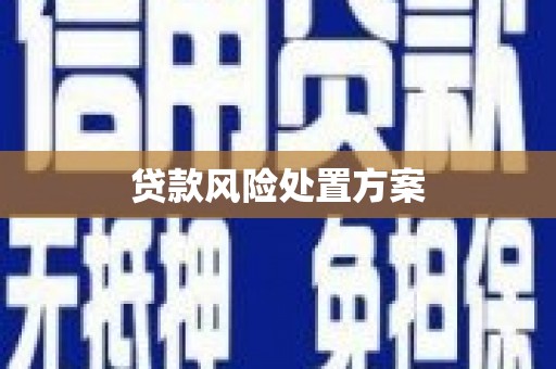 宝兴贷款风险处置方案