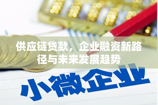 宝兴供应链贷款，企业融资新路径与未来发展趋势