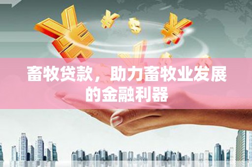 宝兴畜牧贷款，助力畜牧业发展的金融利器