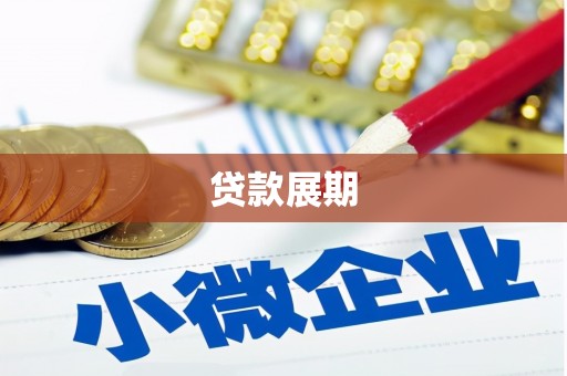 宝兴贷款展期