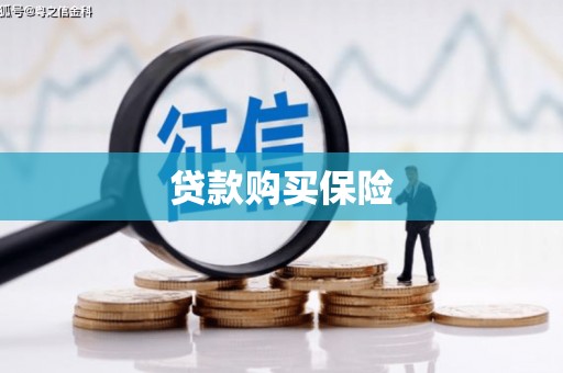 宝兴贷款购买保险