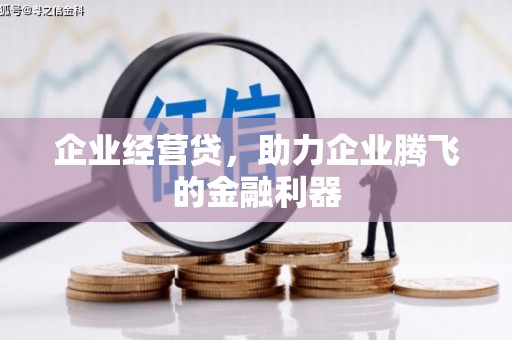宝兴企业经营贷，助力企业腾飞的金融利器
