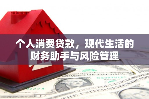 宝兴个人消费贷款，现代生活的财务助手与风险管理