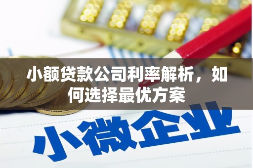 宝兴小额贷款公司利率解析，如何选择最优方案