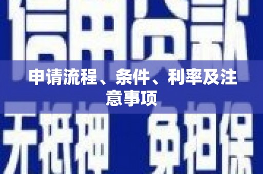 宝兴申请流程、条件、利率及注意事项