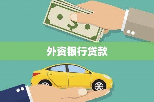 宝兴外资银行贷款