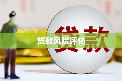 宝兴贷款风险评估