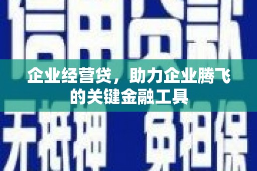 宝兴企业经营贷，助力企业腾飞的关键金融工具