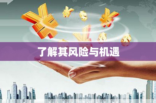 宝兴了解其风险与机遇
